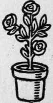 Flower Vase