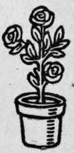 Flower Vase