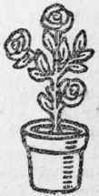 Flower Vase