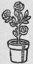 Flower Vase