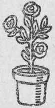 Flower Vase