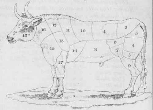 Carving Beef