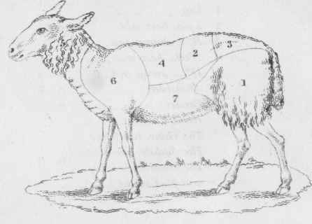 Carving Mutton