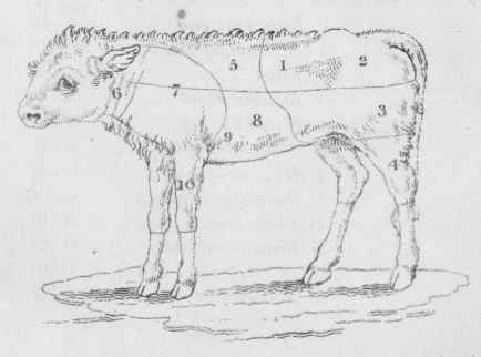 Carving Veal