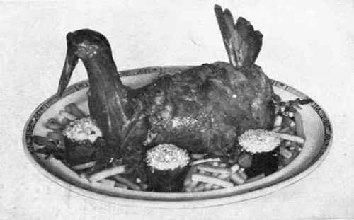 Mutton Duck Garnished for Serving.