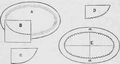 A, the dish; b, a sheet of white paper folded into four.