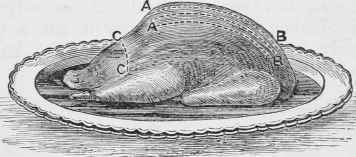 GOOSE, ROAST, TO CARVE.