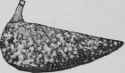 Chicken Fillets Or Breasts A La Princiere Filets O 385
