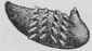 Chicken Fillets Or Breasts Epicurean Filets Ou Ail 379