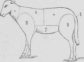 Mutton Mouton American Cuts 354