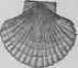 Scallops A La Mariniere Petoncles A La Mariniere 297