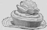 Tortoni Cups Coupes Tortoni 735