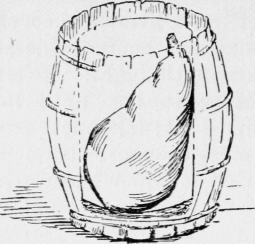 Boiled Ham 13