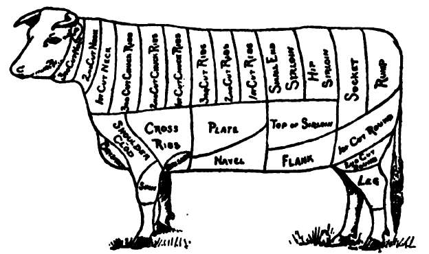 Diagram Of Cuts Of Beef