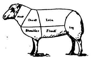 Diagram Of Cuts Of Mutton
