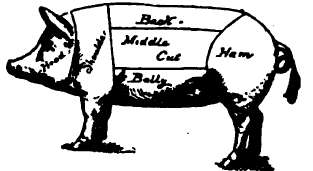 Diagram Of Cuts Of Pork