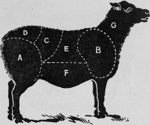 Carving Mutton IdealCookbook 32