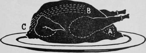 Carving Turkey IdealCookbook 30