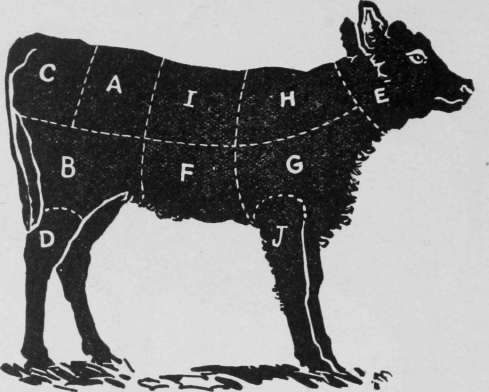 Carving Veal IdealCookbook 33