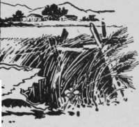 Over Fifty Ways To Cook Them IdealCookbook 46