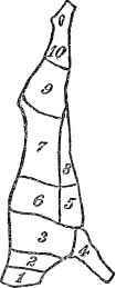 Cuts of Veal