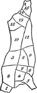 Diagram of Cuts of Beep