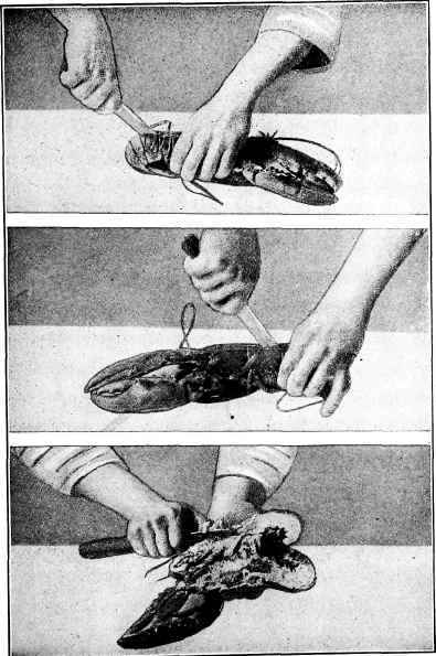 How To Split And Dress Lobster
