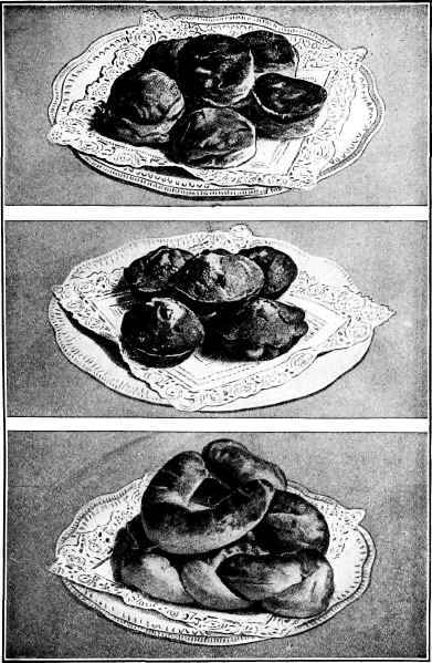 Tea Biscuit Corn Muffins Tea Rolls