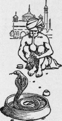 The Snake Charmer