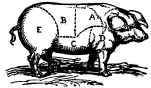 The Pig is thus divided