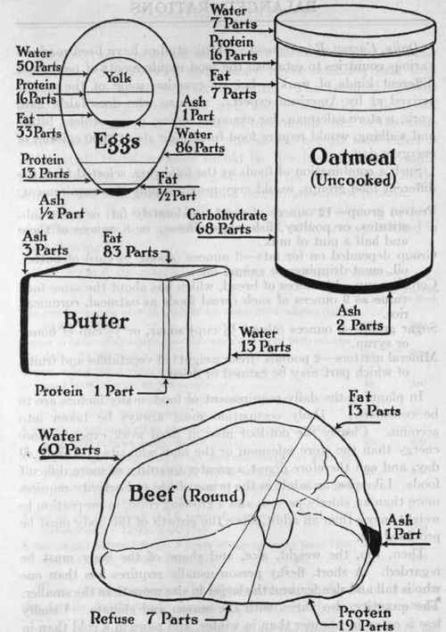 Chart Showing the Composition of Foods