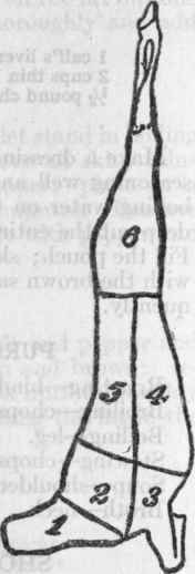 Diagram of Cuts of Lamb and Mutton