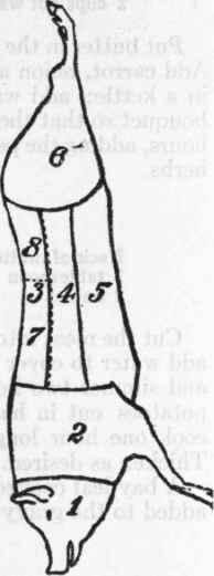 Diagram of Cuts of Pork