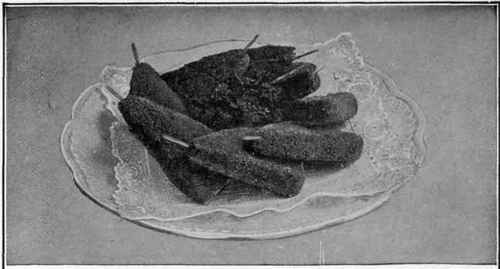 Fish Cutlets.