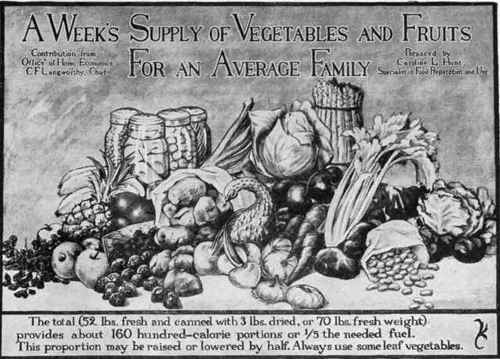 Group No. 5. A Week's Supply Of Vegetables And Fruits