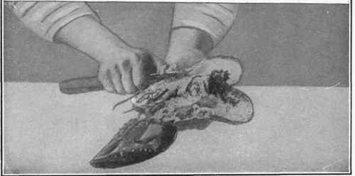 How To Split And Dress Lobster