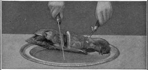 Shoulder of Mutton