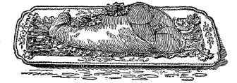 LEG OF MUTTON.