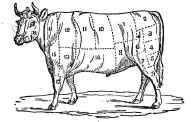 Beef How To Choose Beef 26