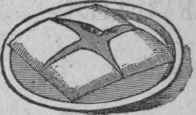 The Chestnut Pocket 46