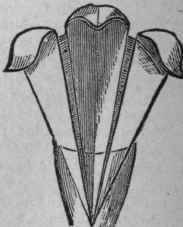 The Prince Of Wales s Feather 158