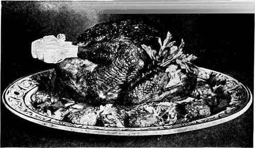 Roast Turkey. Garnish of sausage cakes and celery.
