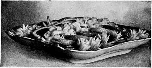 Celery And Orange Salad Recipe