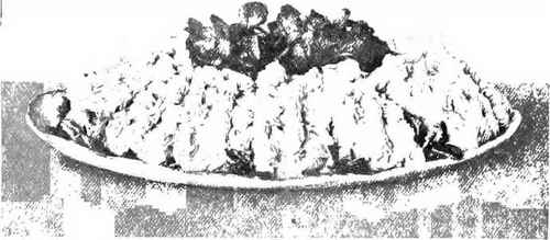 Cream Of Chicken Glace, With Cress Salad