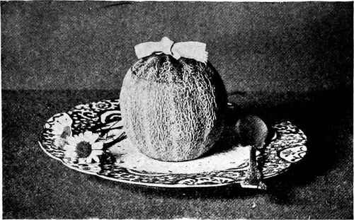 Ice Cream Served In Muskmelons