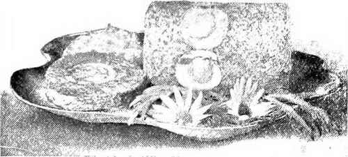Pressed Chicken