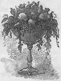 Cantaloupe Melons 142