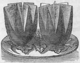 Cantaloupe Melons 143