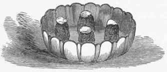 Potatoes Baked With Beef 115