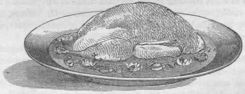 Roast Turkey 103